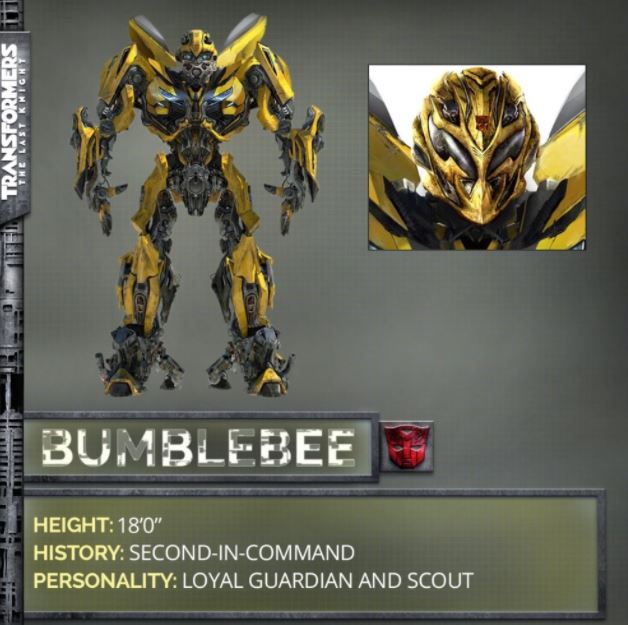 bumblebee1