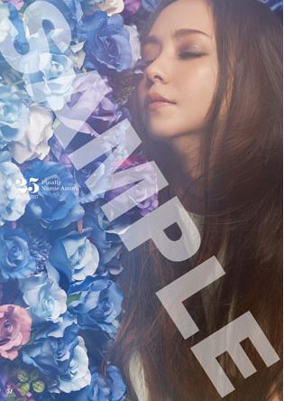 【K♡Y様専用】安室奈美恵 Finally 初回限定版 DVD 札幌公演
